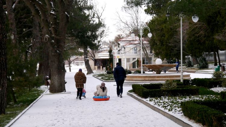 В редкие снежные дни горожане стремятся насладиться этим чудом