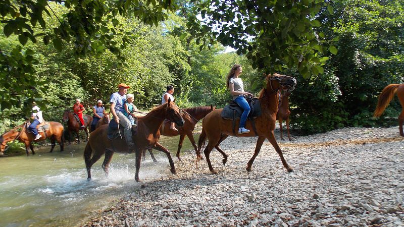 Горные прогулки на лошадях