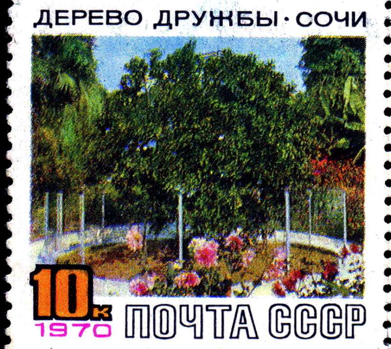Уникальный образец селекции был известен во всем мире
