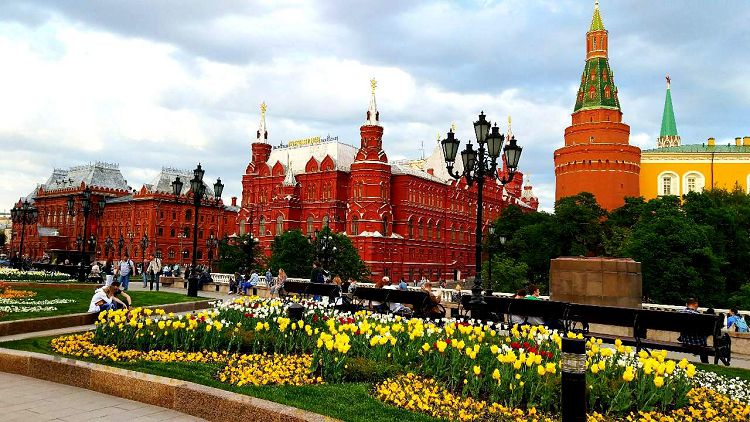 В мае на всех клумбах Москвы расцветают тюльпаны