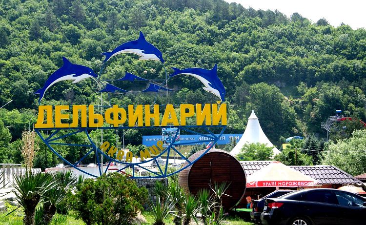 Посетить представления небугского Дельфинария мечтают многие отдыхающие