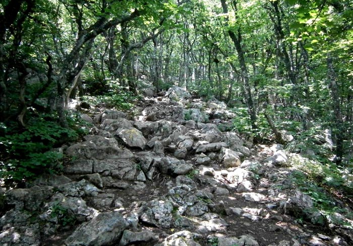 Тропа к вершине Ай-Петри не очень удобная, но не сложная