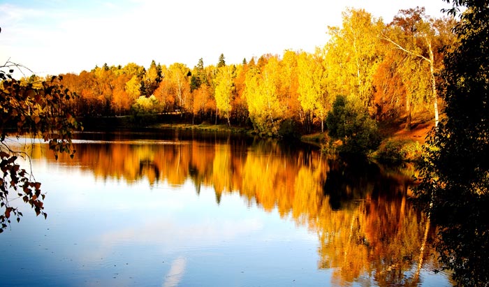 Скитские пруды около Черниговского скита Сергиева посада