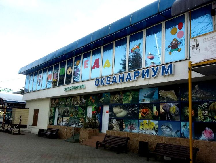 Развлечения в Парке отдыха разнообразны и интересны