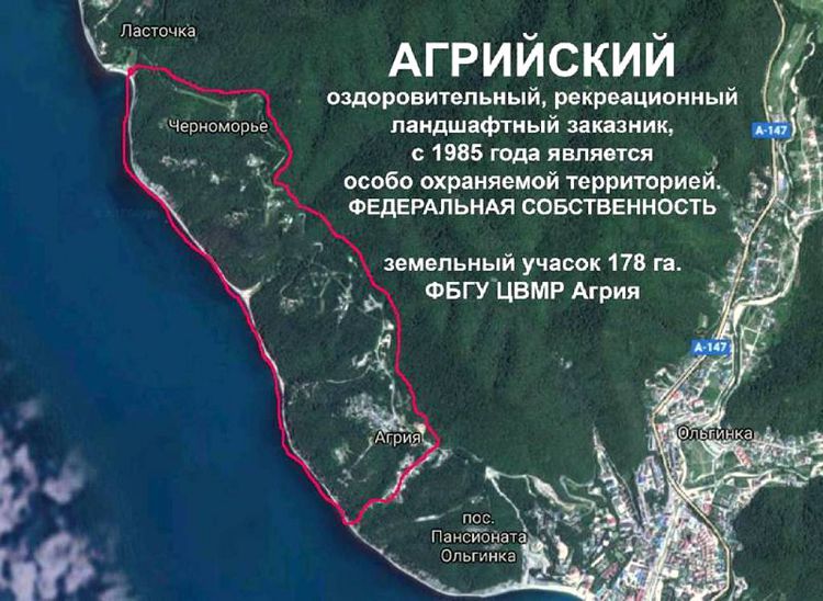 Территория Заказника "Агрия" находится за Пансионатом "Ольгинка"