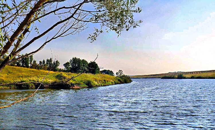 Петровский пруд в Лахте