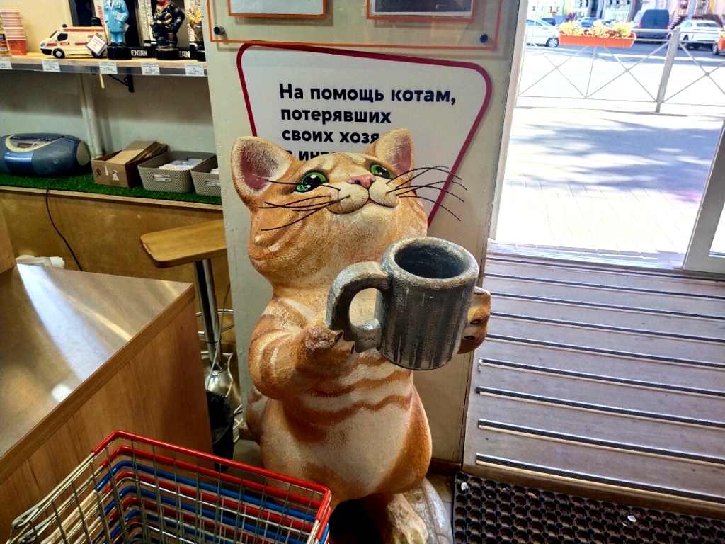 И обязательно позаботьтесь о бездомных йошкар-олинских котах