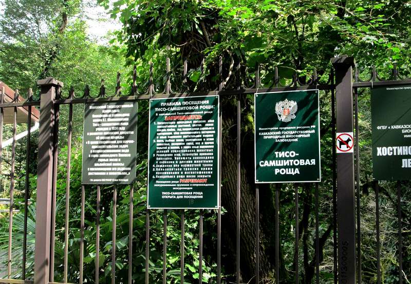 При входе на территорию нужно ознакомиться с правилами поведения