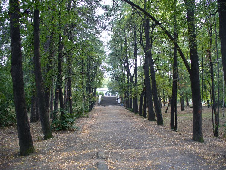Аллея Харитоновского сада